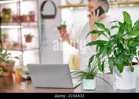 Vista laterale su fiorista donna che tiene verde pianta in vaso e che parla sul telefono cellulare. Computer portatile sul tavolo, sala luminosa piena di piante. Professione fiorista Foto Stock