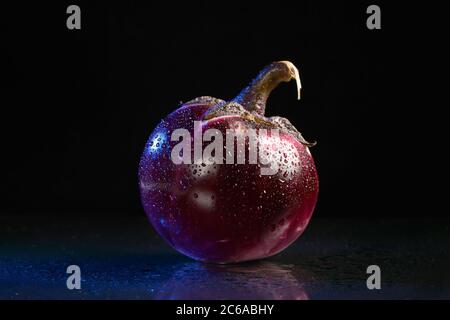 Una melanzana rotonda bagnata con un riflesso su sfondo nero. Isolato Foto Stock