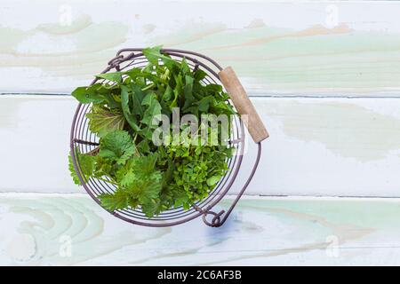 Erbe verdi selvatiche per la fabbricazione di rimedi naturali Foto Stock