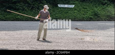 Lavoratori pulizia del tempio santuario Meiji Jingu terra, Tokyo, Giappone Foto Stock