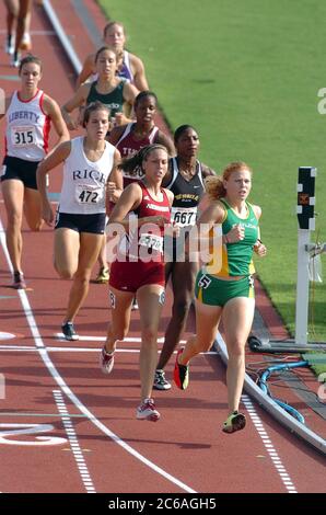 Austin, Texas USA, giugno 2004: Donne che gareggiano nei 800 metri di pista della National Collegiate Athletic Association (NCAA)) Division i Outdoor Track & Field Championships. ©Bob Daemmrich Foto Stock