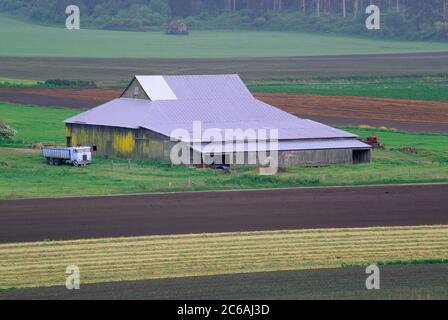 Fienile da Prairie Overlook, Ebey Landing National Historic Reserve, Washington Foto Stock