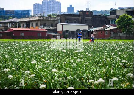 Daxi Chives, Taiwan - 08 SETTEMBRE 2019: Settembre in autunno prima del bel Daxi Chinese Foto Stock