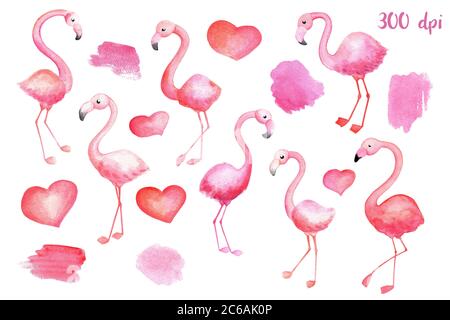 Uccelli fenicotteri rosa, cuori e blot. Illustrazione di San Valentino con acquerello su sfondo bianco. Fenicottero disegnato a mano. Acquerello rosa blot e st Foto Stock