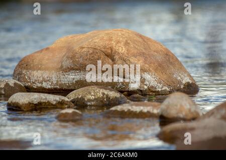 Fotografia ravvicinata delle rocce fluviali catturate sul fiume El Valle, nel sud del dipartimento di Santander in Colombia Foto Stock