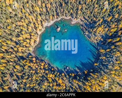 Foto aerea del drone su un lago a forma di cuore circondato da larici autunnali - Lago Saoseo nel Cantone di Grison, Svizzera Foto Stock