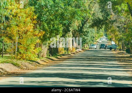 Vuoto viale boscoso al villaggio barreale, provincia di san juan, argentina Foto Stock