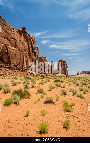 Colpo verticale di sabbia rossa e rocce nel deserto Foto Stock