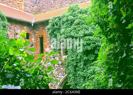 Rovine del convento medievale. Convento Rosa Coeli a Dolni Kounice, Cechi Foto Stock