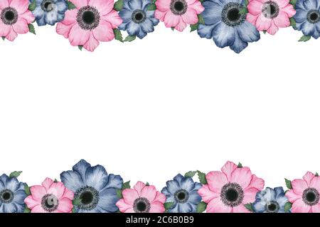 cornice floreale rosa e blu marino, decorazione floreale festosa, illustrazione acquerello dipinta a mano con bellissimi fiori anemoni, festa, carte, matrimonio Foto Stock