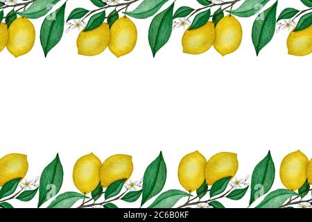 limoni rami cornice design, acquerello decorazione di frutta tropicale con frutta limone, rami e foglie verdi, frutta estate sfondo Foto Stock