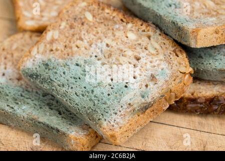 cibo malsano - muffa su fette di pane Foto Stock