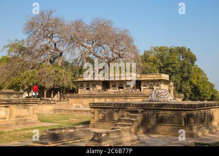 Tomba di Ghaus Mohammed, Gwalior, Madhya Pradesh, India, Asia Foto Stock