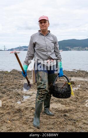 Donne che raccolgono molluschi durante la bassa marea su una spiaggia di Redondela, Pontevedra, Galizia, Spagna, Europa Foto Stock