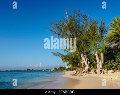 Seven Mile Beach, George Town, Grand Cayman, Isole Cayman, Caraibi, America Centrale Foto Stock