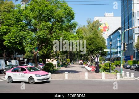 Viale Alvaro Obregon nel quartiere alla moda di Roma Norte a Città del Messico Foto Stock