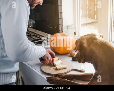 Bell'uomo e un adorabile, grazioso cucciolo Foto Stock