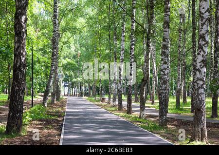 Un percorso di jogging e passerella desertato durante il mattino nel parco pubblico di Nizhny Novgorod con un sacco di ombra da grandi alberi di uccelli sopra Foto Stock