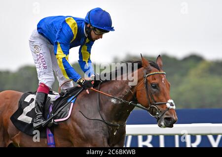 Balzac e Jockey Oisin Murphy vincono gli Oakley Coachbuilders Super Sport Novice Stakes (Div i) all'ippodromo di Newbury. Foto Stock