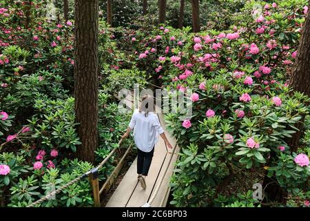 Donna che cammina nel Rhododendrons Park. E' uno dei luoghi più popolari e belli di Helsinki, Finlandia. Foto Stock