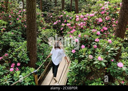 Donna che cammina nel Rhododendrons Park. E' uno dei luoghi più popolari e belli di Helsinki, Finlandia. Foto Stock