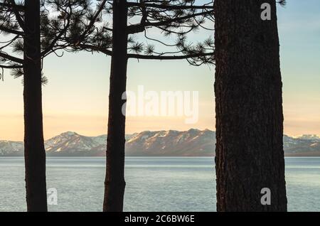 Vista panoramica del lago Tahoe all'alba con la silhouette di pini in primo piano, California, Stati Uniti. Foto Stock