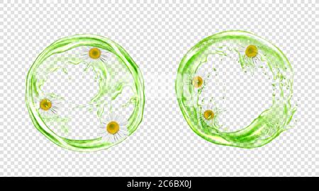 Un tuffo circolare di tè verde con camomilla isolata su sfondo trasparente. Vettore realistico set di liquido flusso rotondo di acqua, bevanda alle erbe, tè freddo con fiori margherita Illustrazione Vettoriale