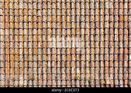 Vecchio tessuto di tegole del tetto mussoso Foto Stock