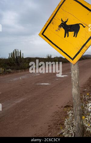 Un cartello giallo luminoso di avvertimento fatto di legno lungo una strada sterrata nel deserto avverte di asini liberi nella zona. Foto Stock