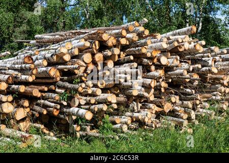 Pila di legno di betulla sulla strada di Orivesi, Finlandia rurale Foto Stock
