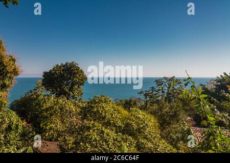 Foresta pluviale tropicale sulla costa brasiliana in Ilhabela, Stato di São Paulo, Brasile Foto Stock