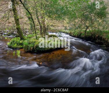 Fiume Teign vicino a Fingle Bridge Foto Stock