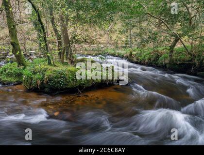 Fiume Teign vicino a Fingle Bridge Foto Stock