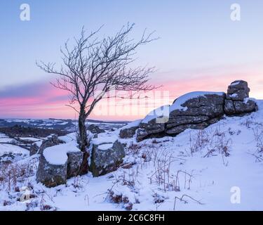 Bowermans nose, Dartmoor, Devon, regno unito Foto Stock