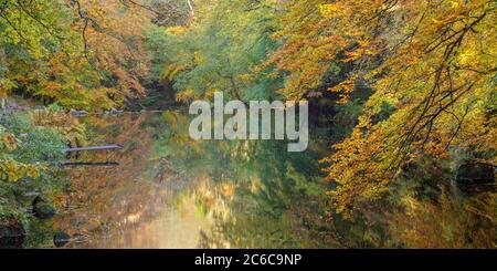 Fiume Teign vicino a Fingle Bridge Foto Stock