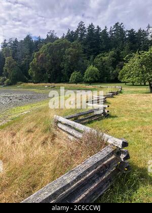 Meandri recinti in legno lungo una spiaggia rocciosa con erba di mare. Erba, alberi e cielo nuvoloso. Nessuna gente. Foto Stock