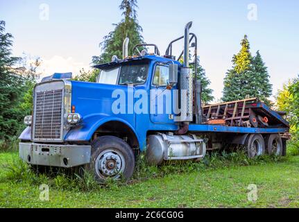 Blu arrugginito grande carro vecchio retro vintage semi camion con rimorchio a letto piatto in piedi sul grande prato aperto con erba verde alta come simbolo di un autobus duro Foto Stock