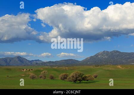 Warner Springs, California meridionale, Stati Uniti Foto Stock