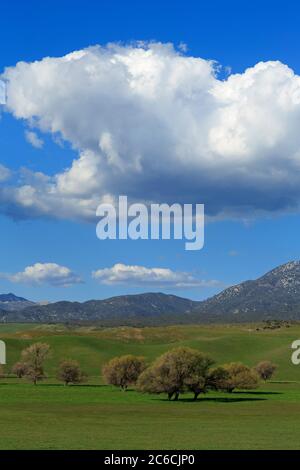 Warner Springs, California meridionale, Stati Uniti Foto Stock