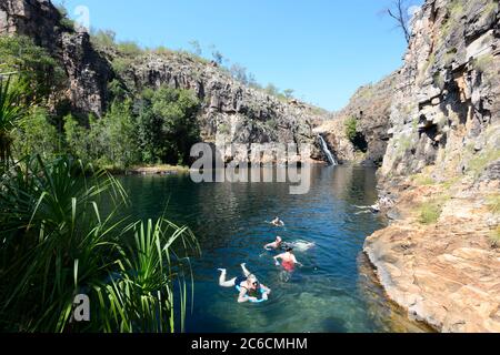 I turisti nuotano alle famose cascate di Maguk (Barramundi Gorge) e alla piscina per tuffarsi, al Parco Nazionale di Kakadu, al territorio del Nord, NT, Australia