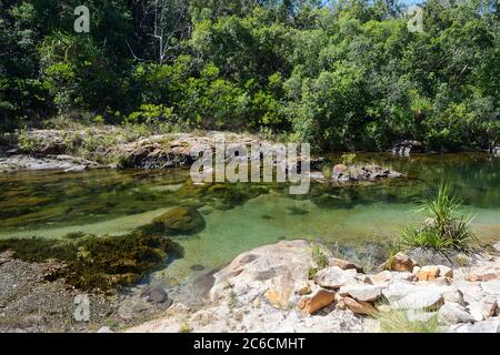 Acque cristalline in un torrente presso il famoso Maguk (Barramundi Gorge), il Parco Nazionale di Kakadu, territorio del Nord, NT, Australia Foto Stock