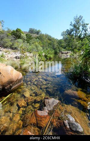 Vista verticale dell'acqua cristallina in un torrente presso la popolare Maguk (Gola di Barramundi), il Parco Nazionale di Kakadu, il territorio del Nord, NT, Australia Foto Stock