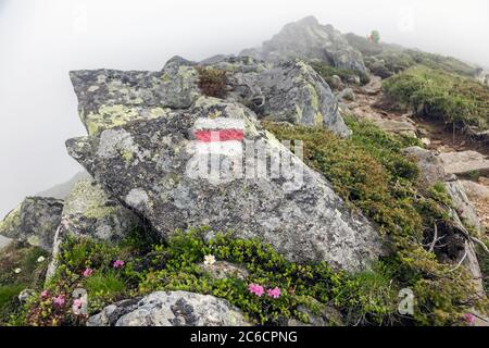 Segnavia sulle montagne. Segno dipinto in rosso e bianco per turisti, escursionisti e escursionisti. Aiuta a navigare escursionisti durante le escursioni Foto Stock