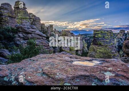 Il cielo mattutino si riflette in un piccolo stagno dopo una pioggia monsone nel Chiricahua National Monument dell'Arizona meridionale Foto Stock