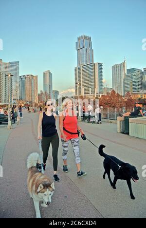 donne camminano cane sul fiume a piedi in austin texas Foto Stock