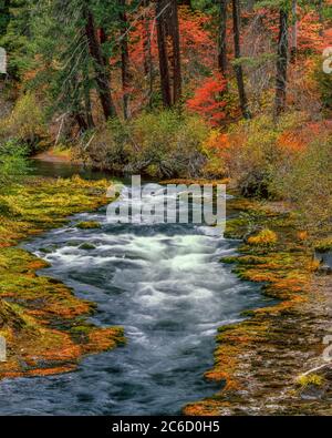 Takelma Gorge, Rogue River, Rogue River National Wild e Scenic River, Oregon, Rogue River National Forest, Oregon Foto Stock