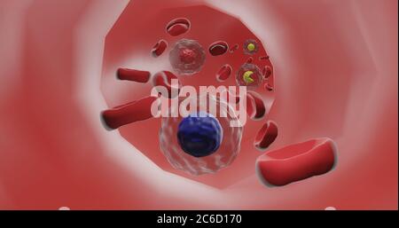 flusso sanguigno nell'illustrazione 3d Foto Stock