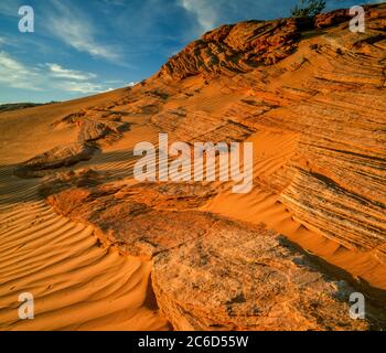 Pietra arenaria, dune di sabbia, Grand Staircase-Escalante National Monument, Utah Foto Stock