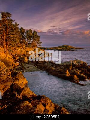 Shark Reef, Lopez Island, le Isole San Juan, Washington Foto Stock