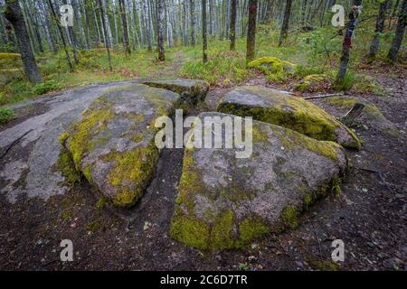 pietra nella foresta è spezzata in quattro parti. Il tempio antico. Foto Stock